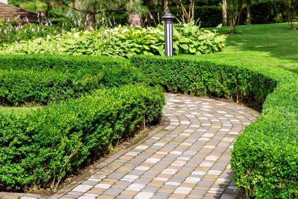 Paved Landscaping in San Clemente