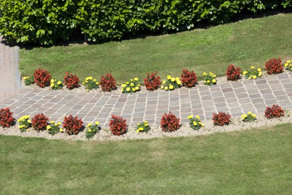 Garden Paving in San Clemente