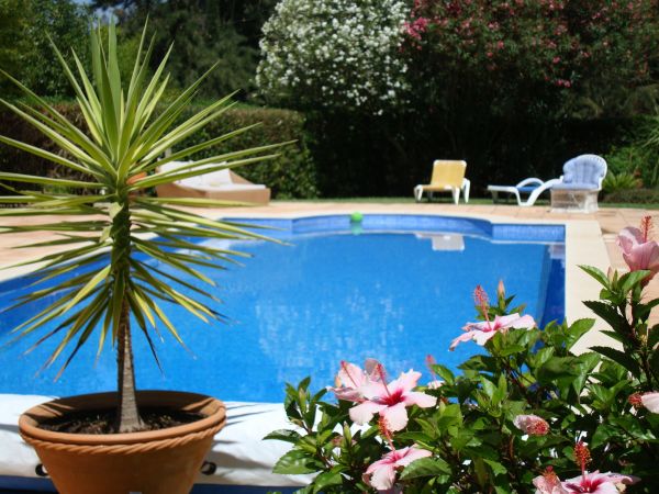 Pool Terrace Renovation in San Clemente
